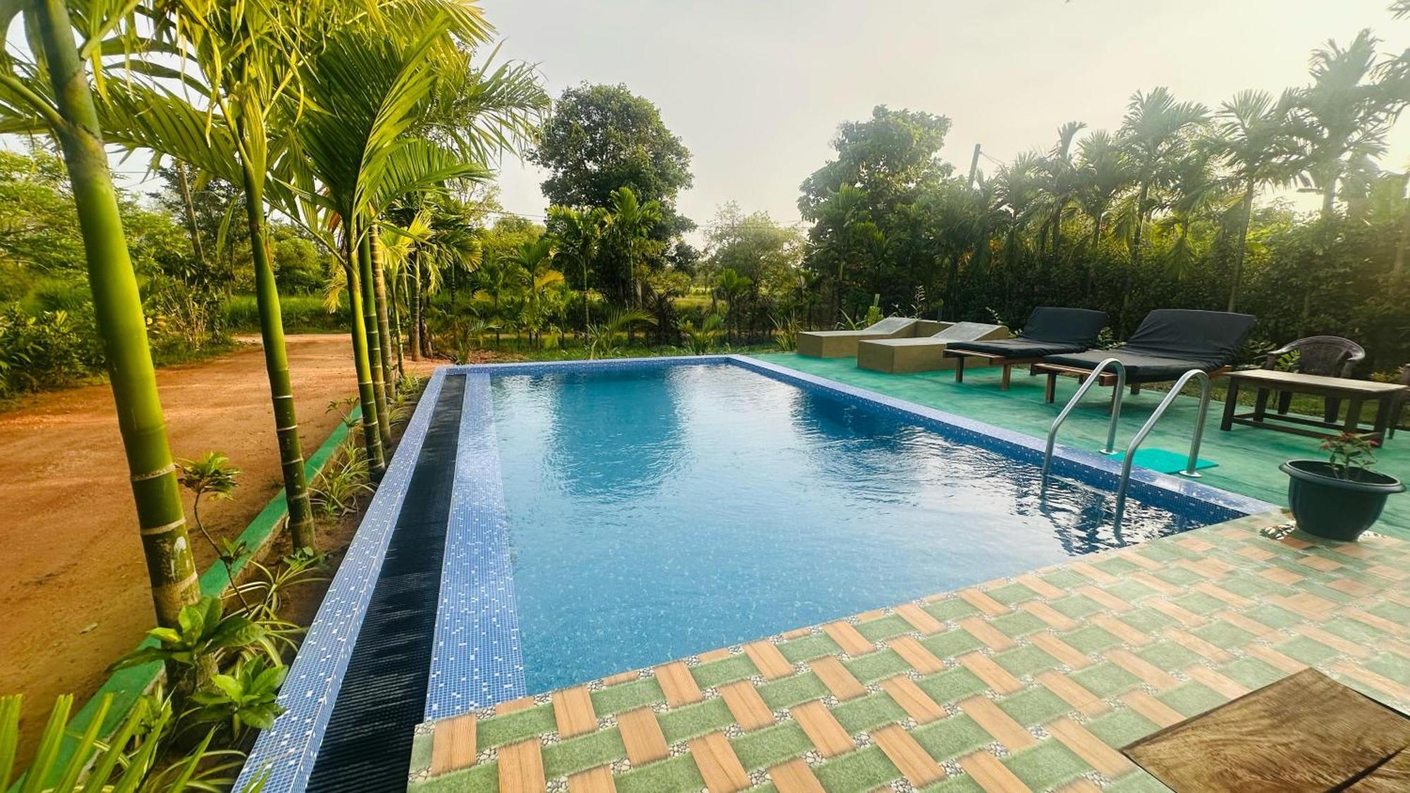 Dew Ashi Homestay Sigiriya Exterior foto